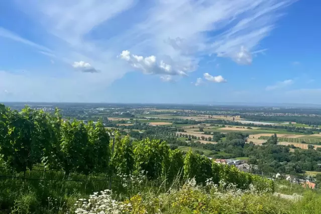 Besichtigung des Geopark-Aussichtspunkts WEIN - KULTUR - LANDSCHAFT mit faszinierendem Panorama über die Landschaft.