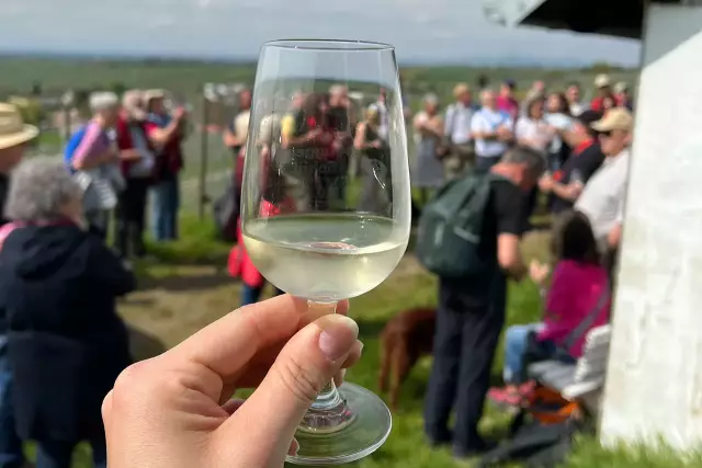 Höhepunkt des WeinWanderWochendes war die alljährliche „Royale Weinwanderung" mit der Deutschen Weinkönigin Katrin Lang.